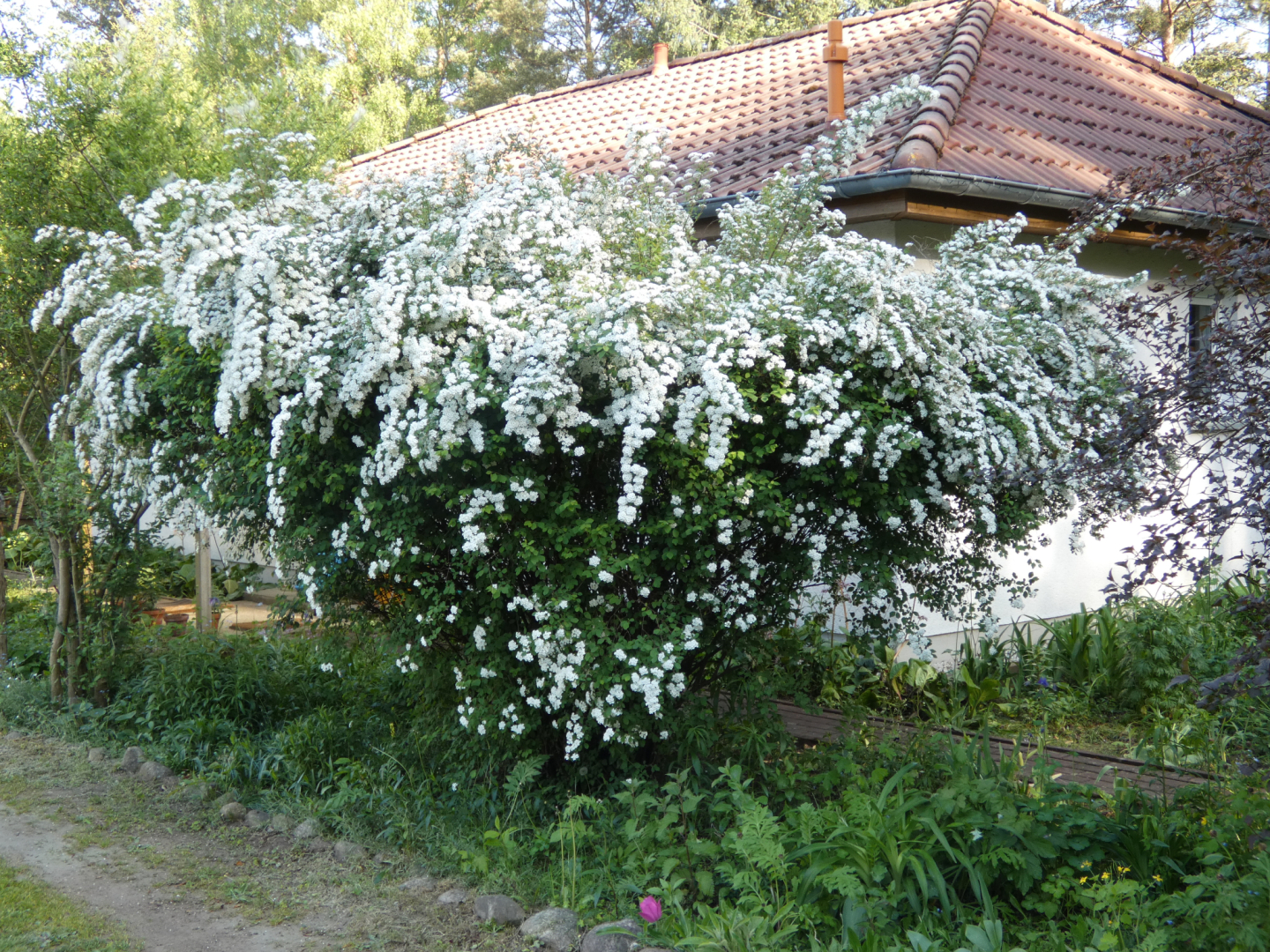P1000574