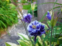 RIMG0079