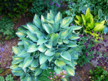 RIMG0097