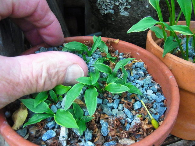 RIMG0119