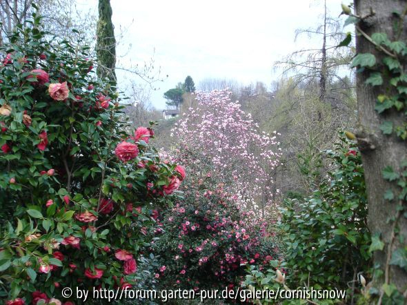 Park Gärtnerei Eisenhut III