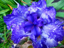 RIMG0059