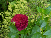 P5311679