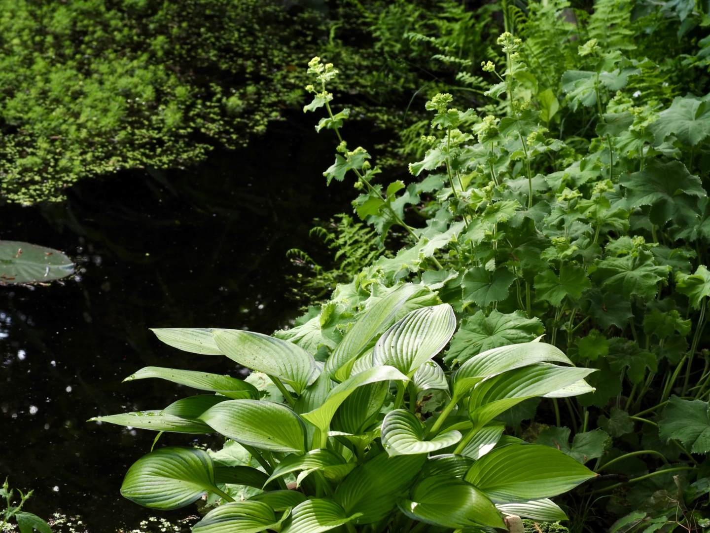 P5311678