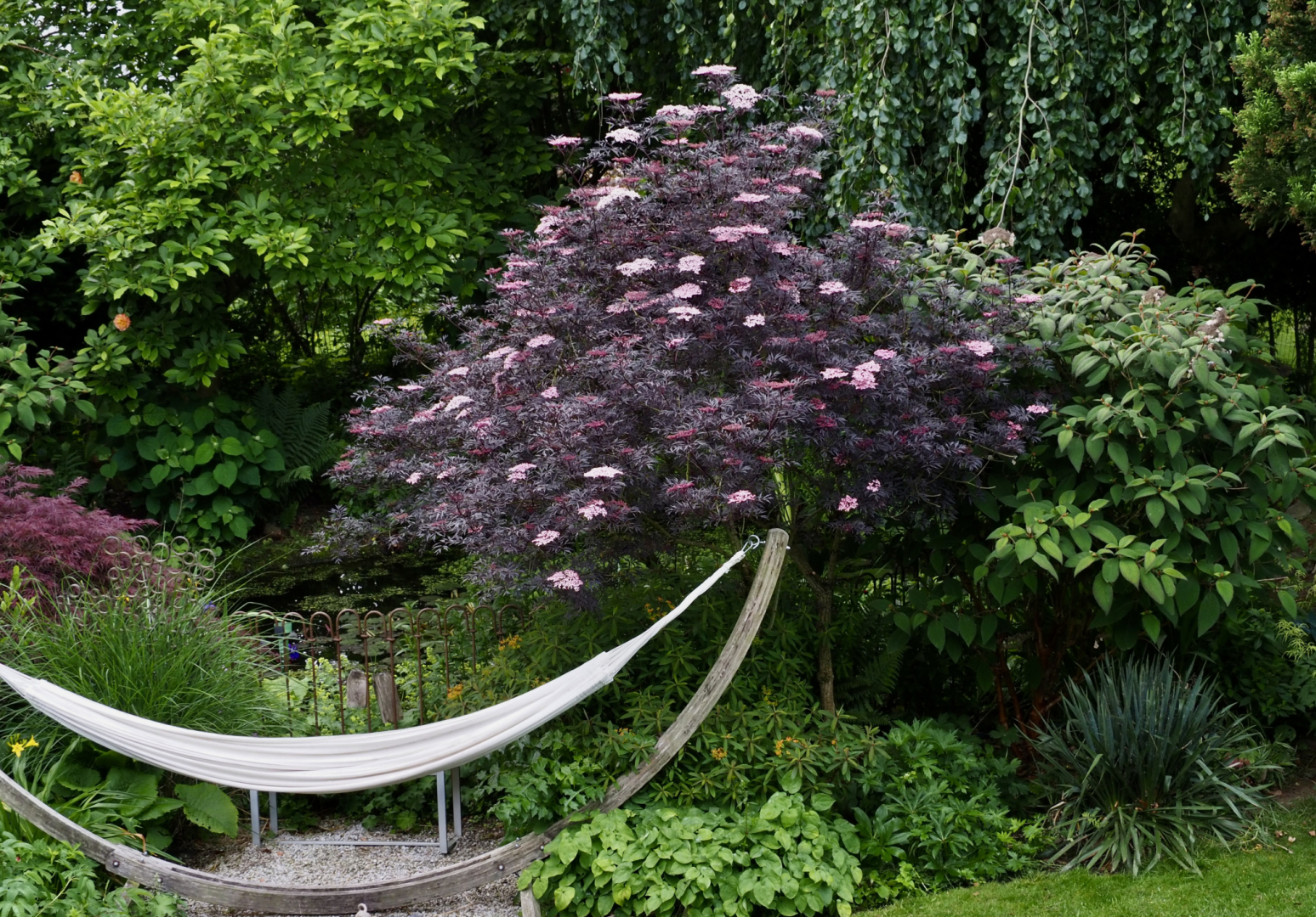 P5311663