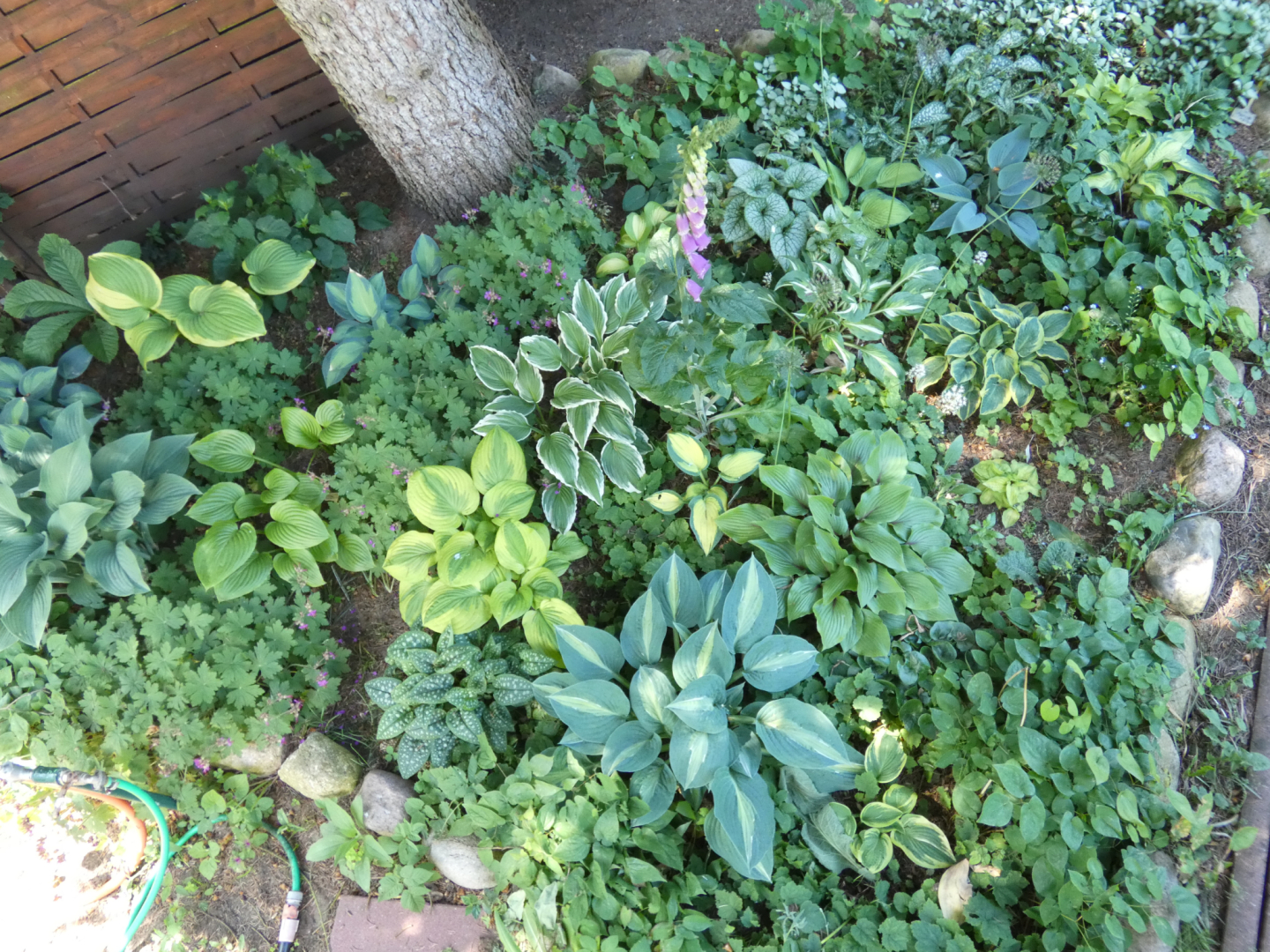 P1000761