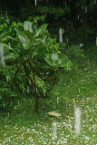 06_25_14_hagel1