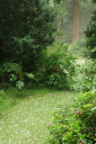 06_25_15_hagel2