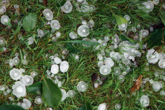 06_25_16_hagel3
