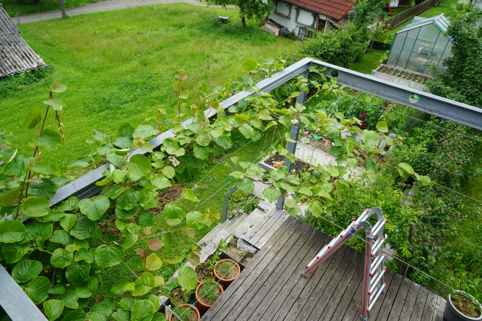 Pergola von oben DSC07415