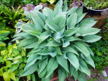 RIMG0048