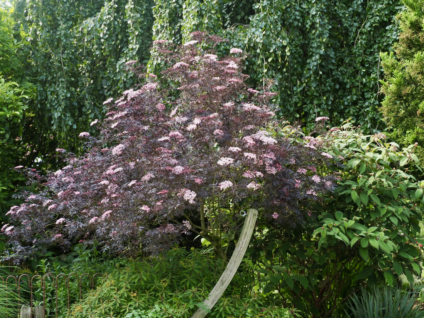 P6091783
