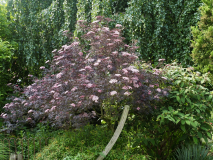 P6091783