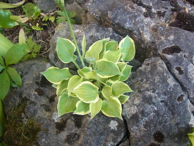 RIMG0041