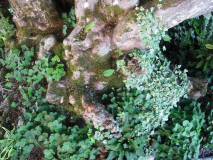 RIMG0058