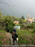 Rückweg vom Kamelienwald zur Gärtnerei