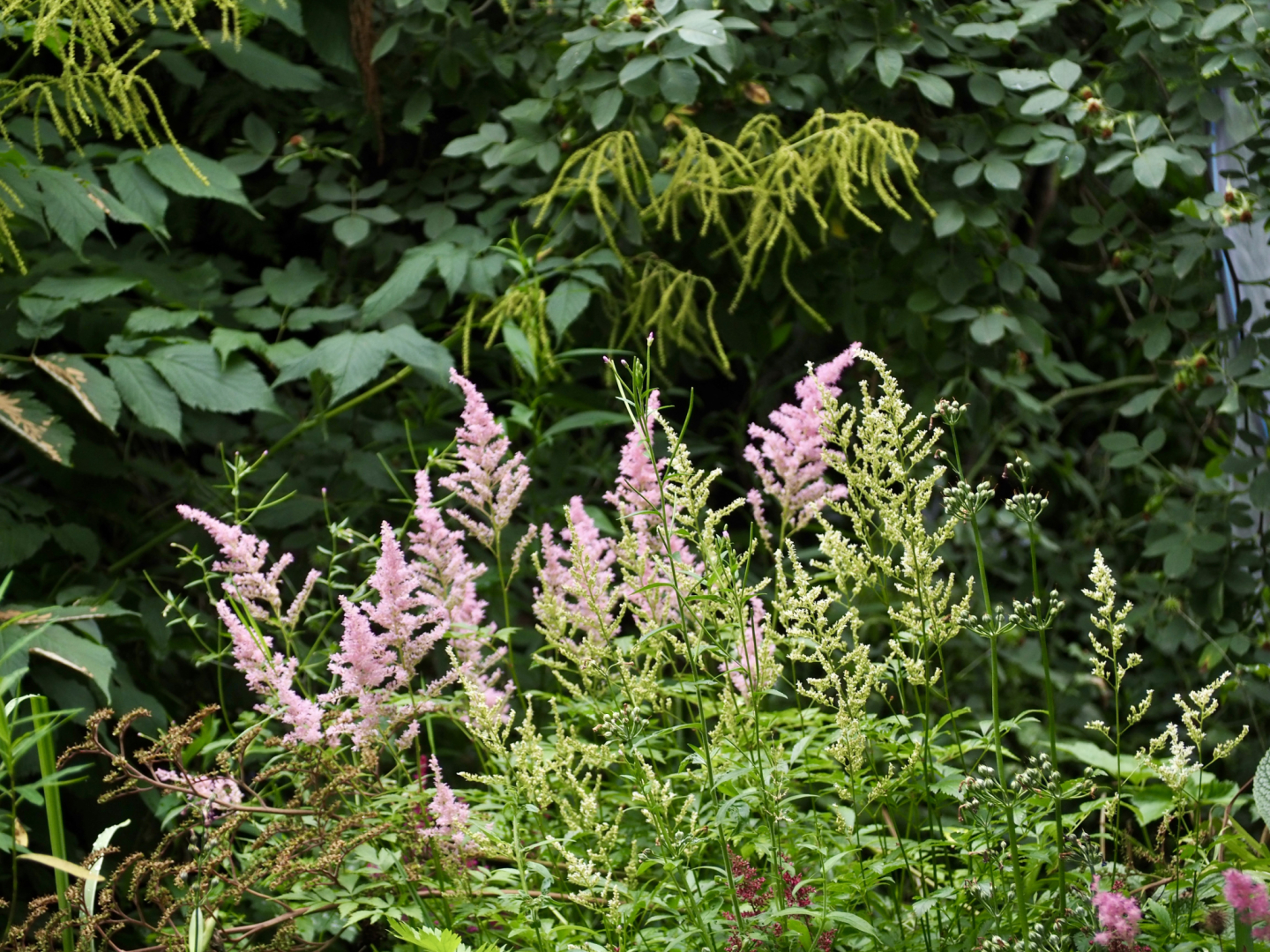 P7092082