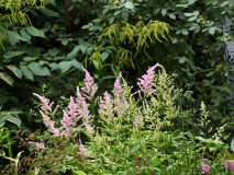 P7092082