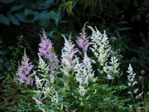 P7012048