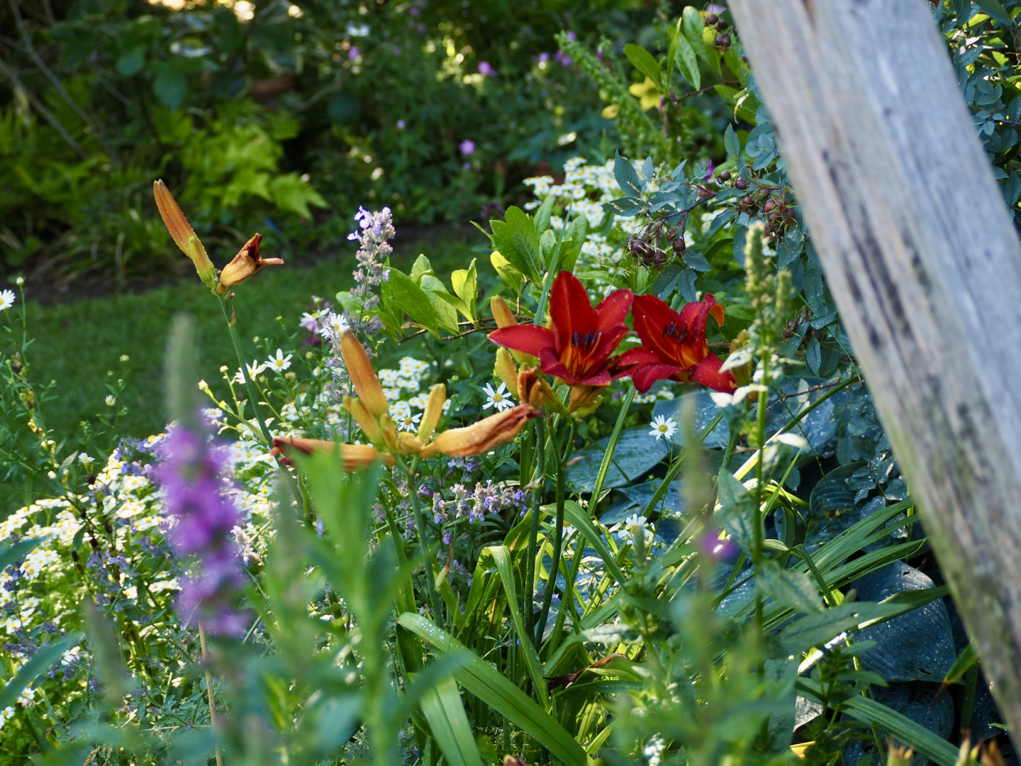 P6302042