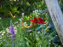 P6302042