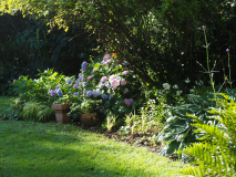 P6302038