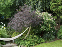 P7102178