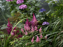 P7102173