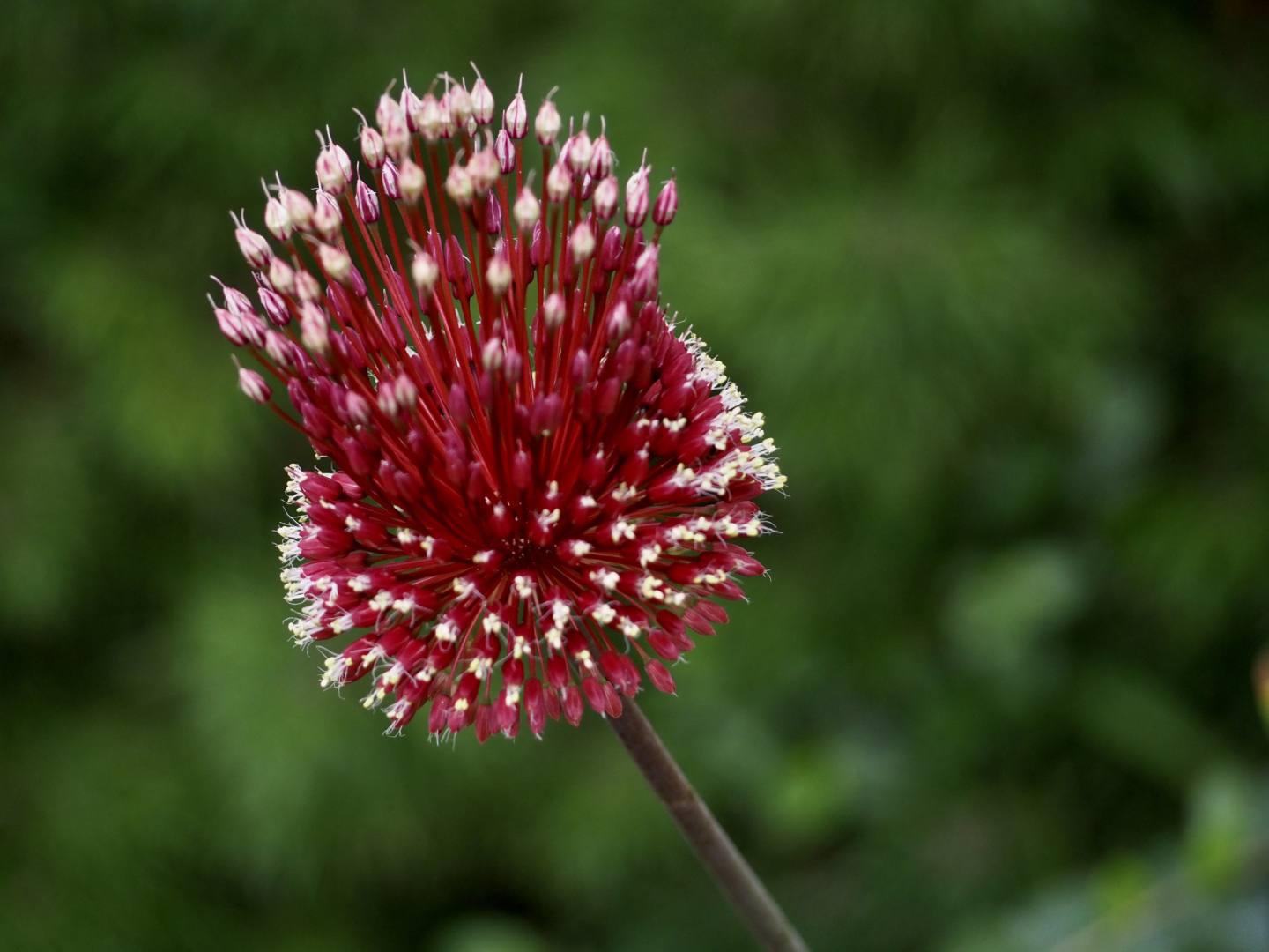P7102172