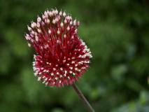 P7102172