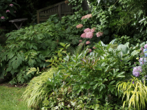 P7102168