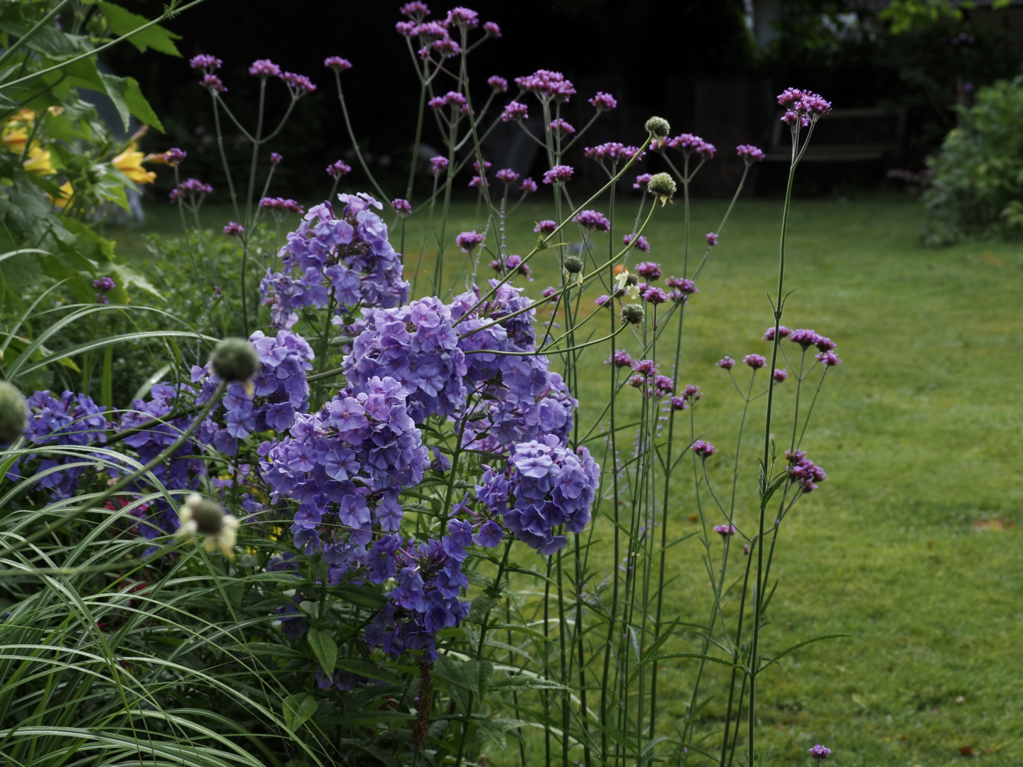 P7102148