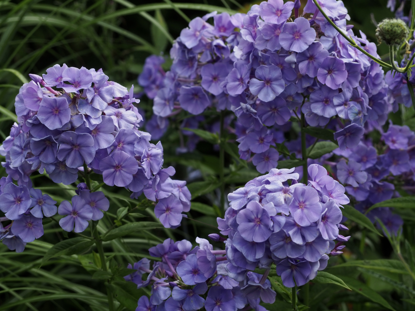 P7102146
