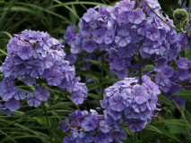 P7102146