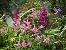P7102174