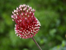 P7102172
