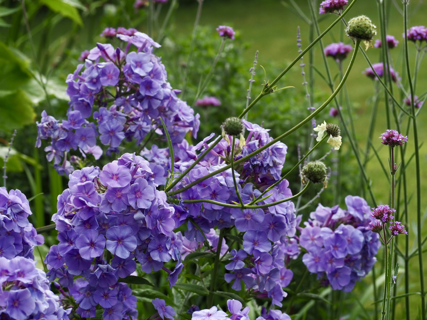 P7102165