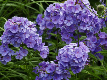 P7102146