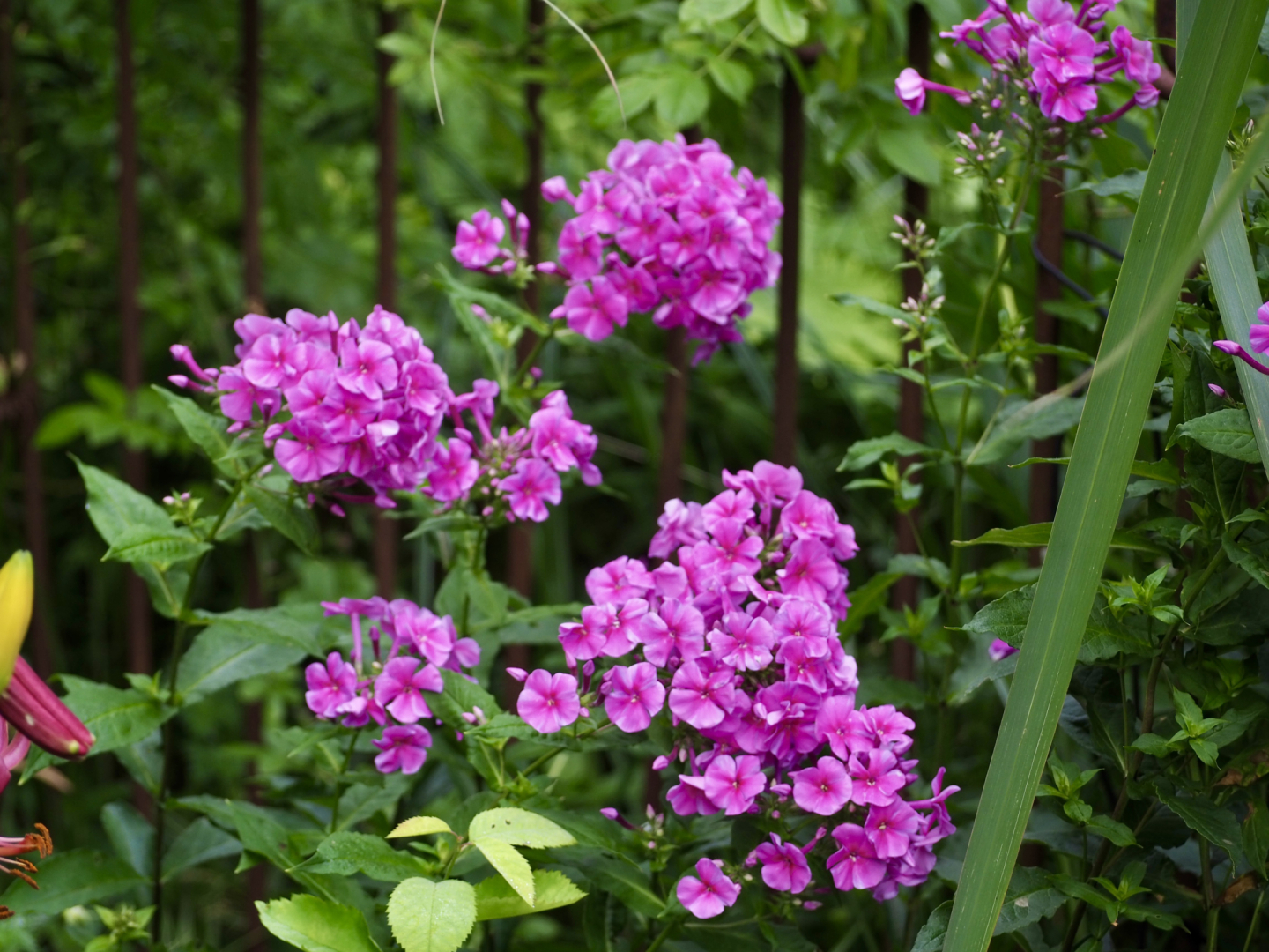 P7102143