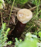P7132236