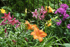 P7132215