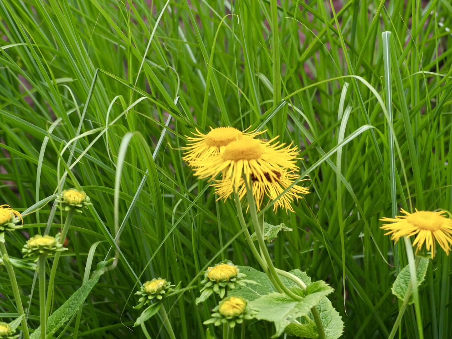 P7132219