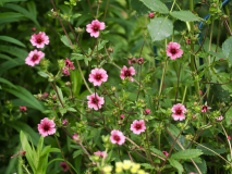 P7132217