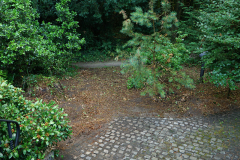 07_25_19_hausbeet1