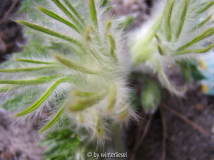 DSCF5985.jpg