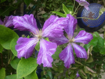 RIMG0094
