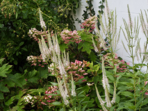 P7302340