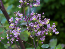 P7302330