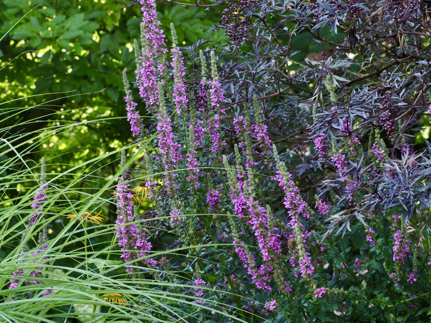 P7302325