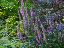 P7302325